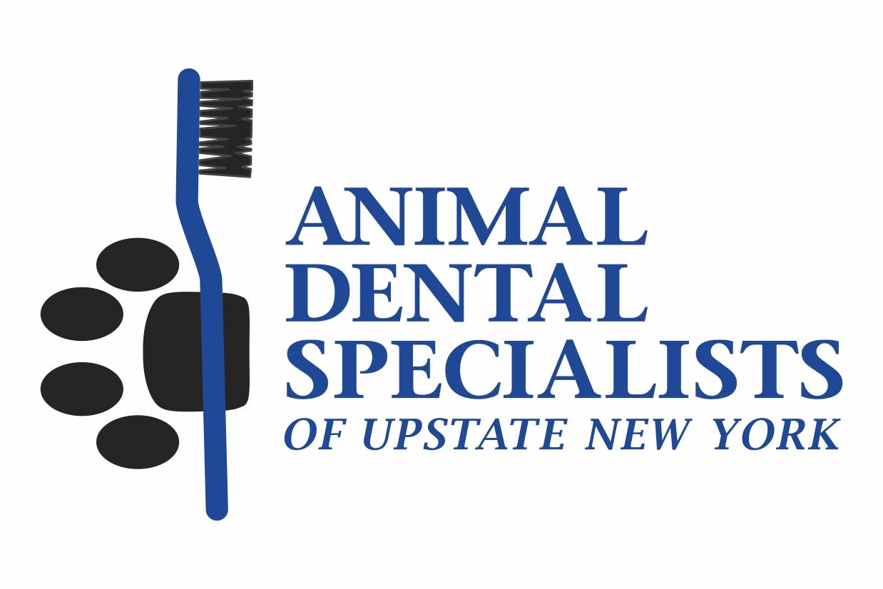 动物牙科专家的纽约北部的标志