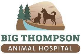 大汤普森动物医院的标志