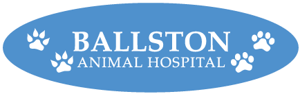 Ballston动物医院的标志
