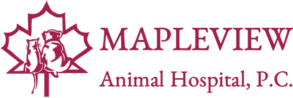 Mapleview动物医院的标志