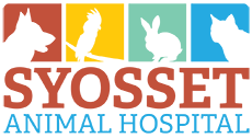 西奥赛特动物医院的标志