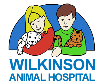 威尔金森动物医院的标志