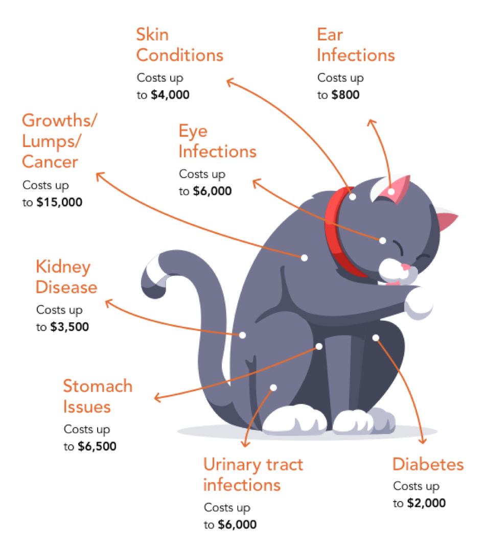 图表详细说明了你的猫可能遇到的各种医疗费用＂sizes=