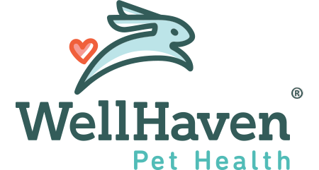 WellHaven宠物健康-科罗拉多大道，丹佛标志