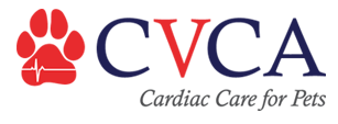 CVCA心脏照顾宠物——奥斯汀的标志