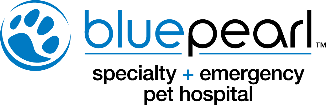 蓝珍珠宠物医院的标志