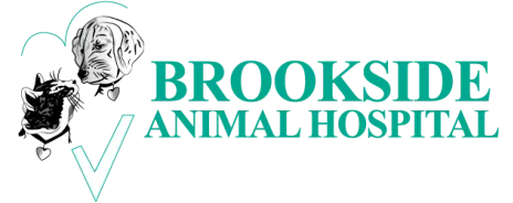 Brookside动物医院,珊瑚泉的标志