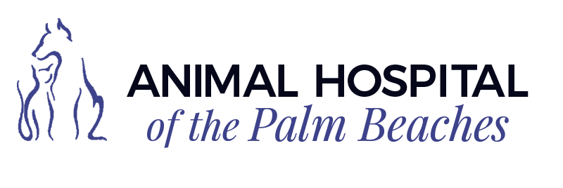 动物医院的棕榈海滩的标志