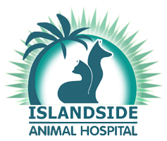 Islandside动物医院的标志