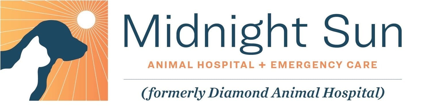 午夜太阳动物医院+紧急护理的标志