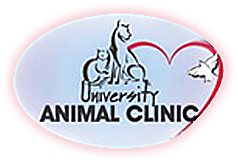 大学动物诊所-登顿FL的标志