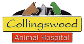 Collingswood动物医院的标志