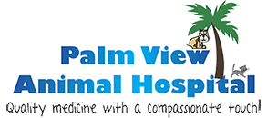 棕榈视图动物医院的标志