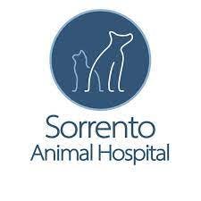 索伦托动物医院的标志