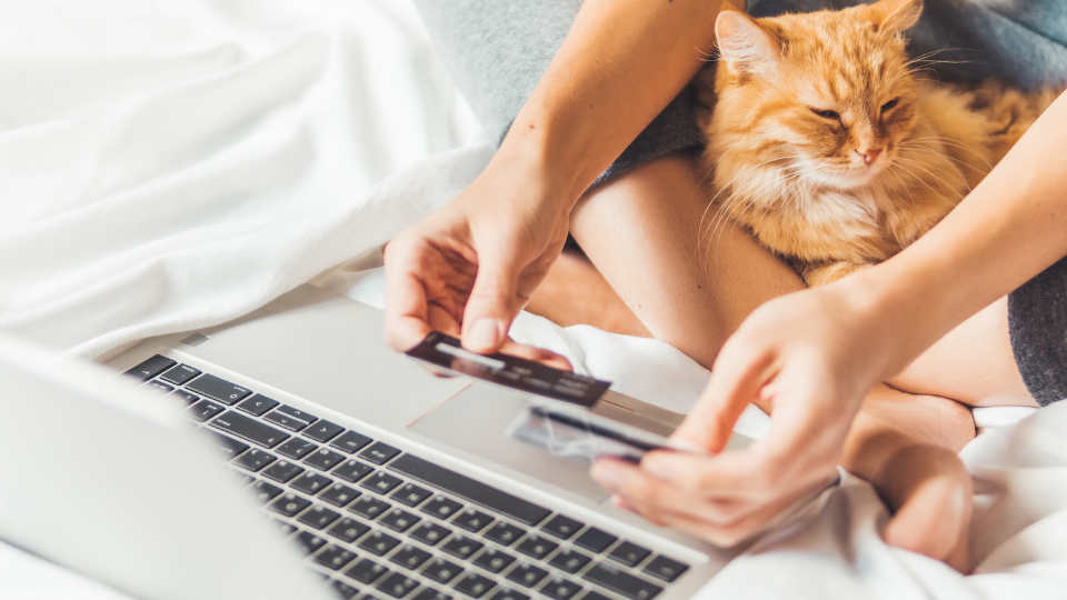 网上购物与猫