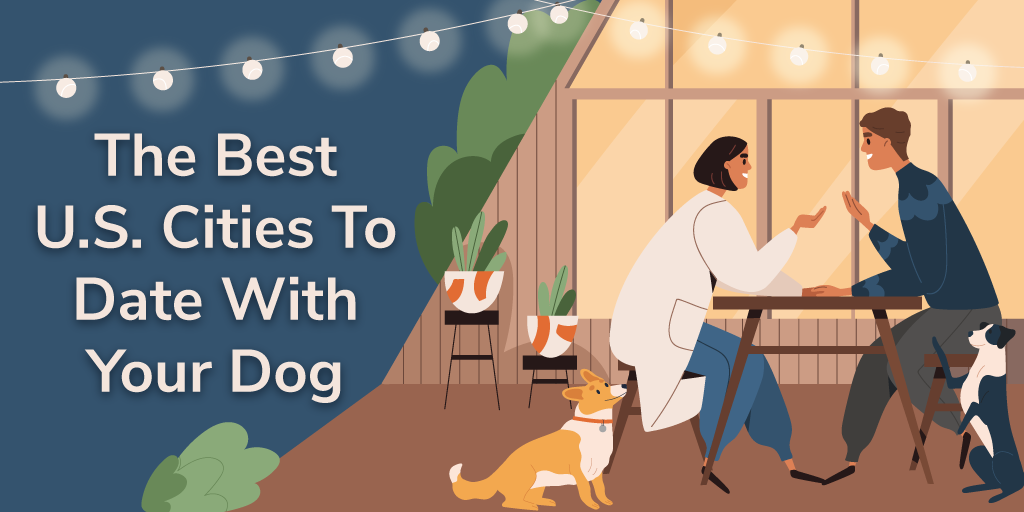 一个关于与你的狗约会的最佳城市的博客的标题图像