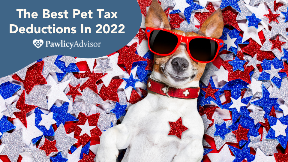 2022年宠物税收减免