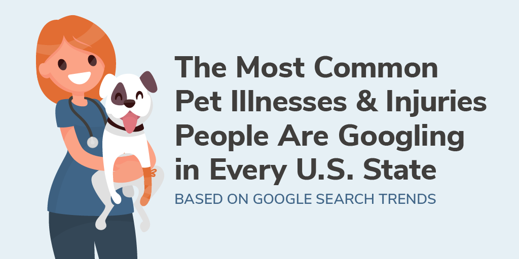 标题一般图形的搜索宠物疾病和伤害美国的每一个州”sizes=