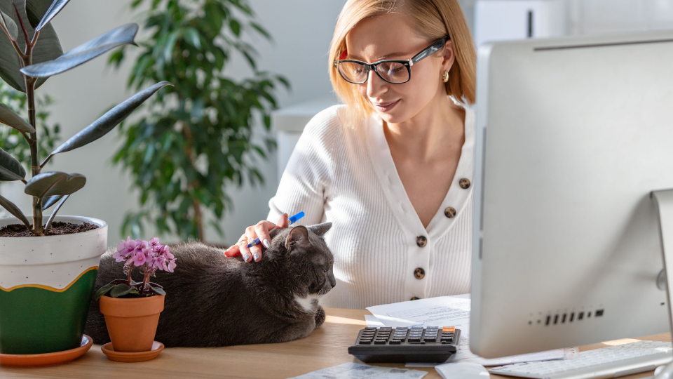 女人在工作时抚摸着猫